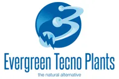 evergreen-tecnoplants